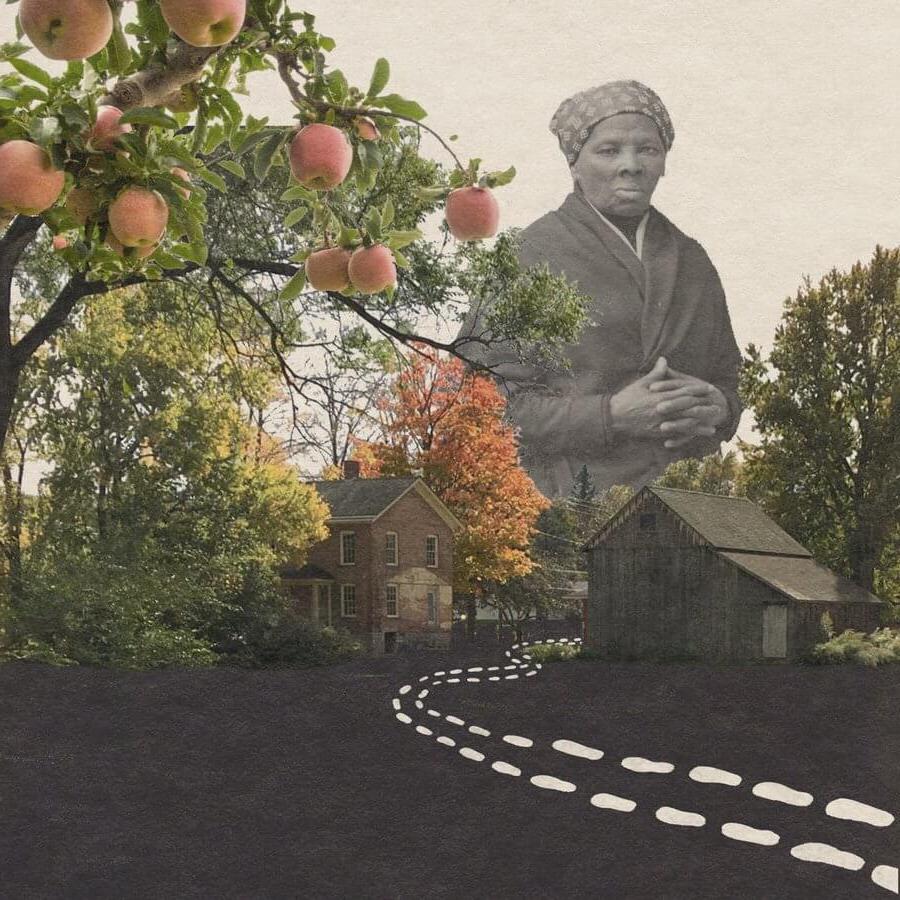 Harriet Tumban, apple trees and road